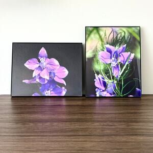 Purple Larkspur Delphinium Flowers - Framed Photographs
